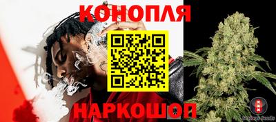 трава Обнинск