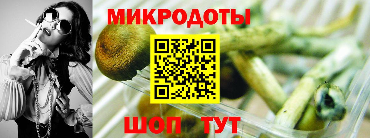 Псилоцибиновые грибы Psilocybe  Вход с VPN  Симферополь  Галлюциногенные грибы прущие грибы 